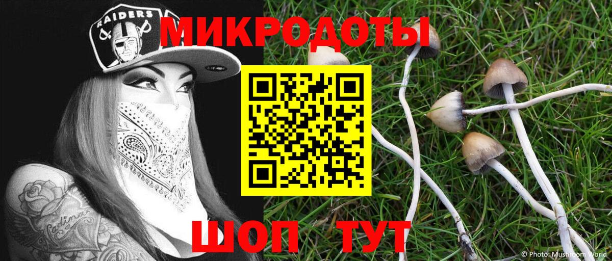 Асбест  Галлюциногенные грибы Psilocybe  Вход с VPN 